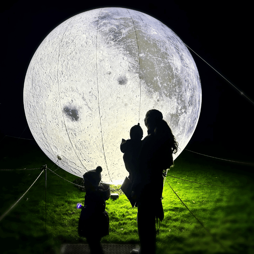 Museum by Moonlight: Penguin Light Trail