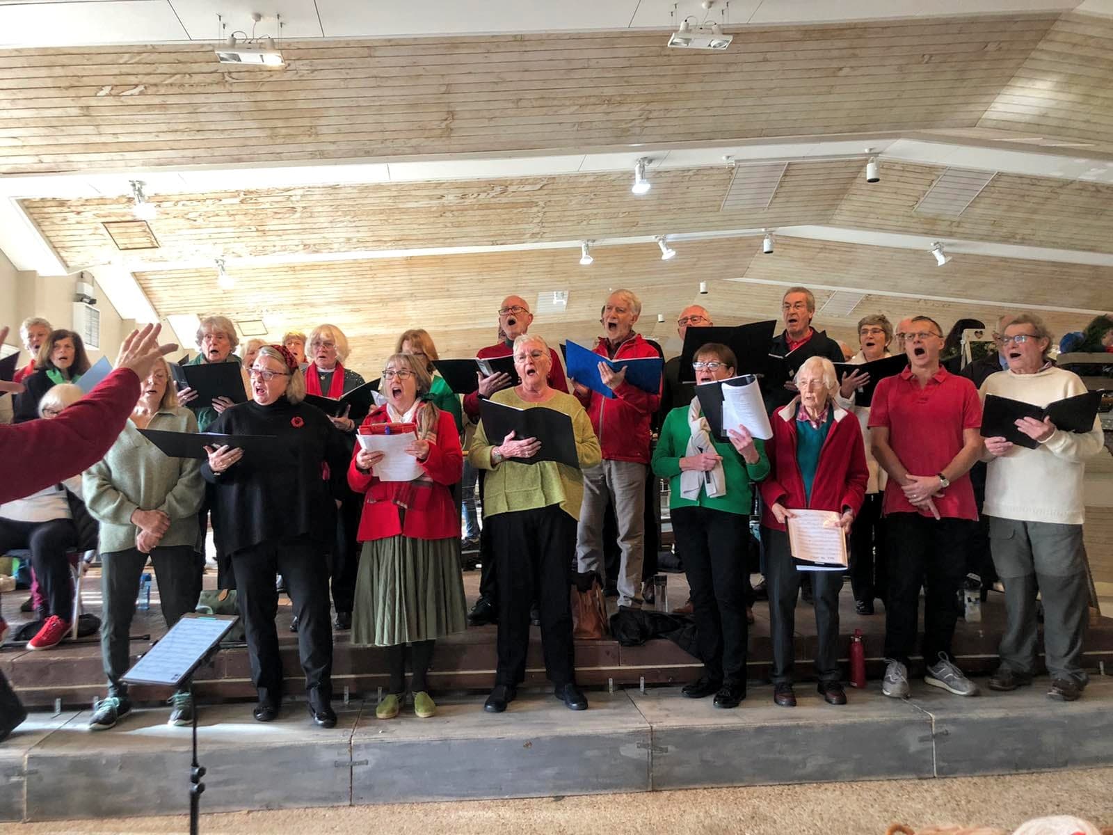 Christmas at Fishbourne Roman Palace