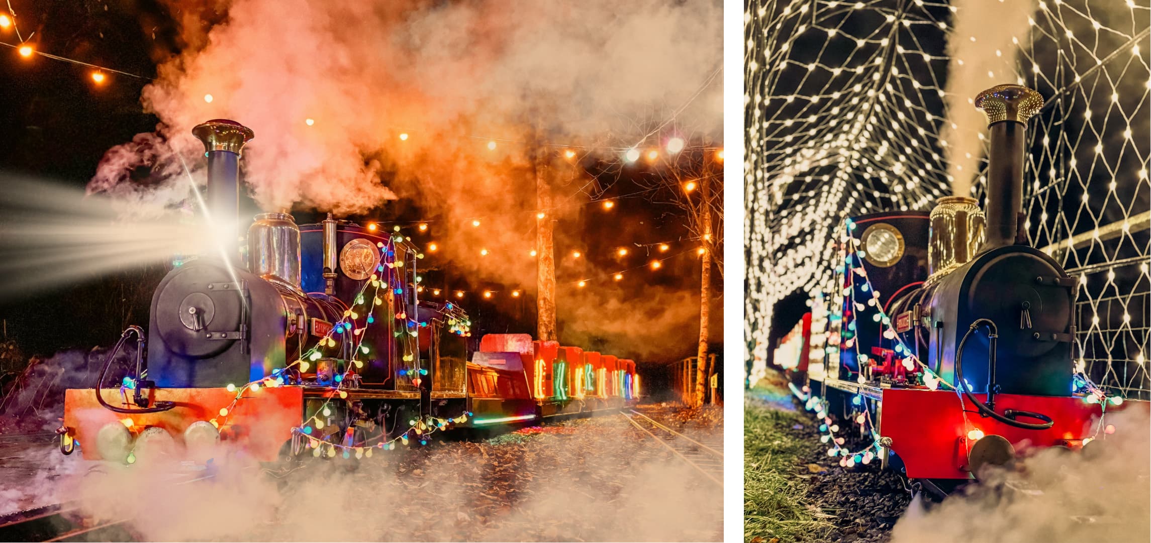 Bright Lights for Winter Nights 2026 at Echills Wood Railway