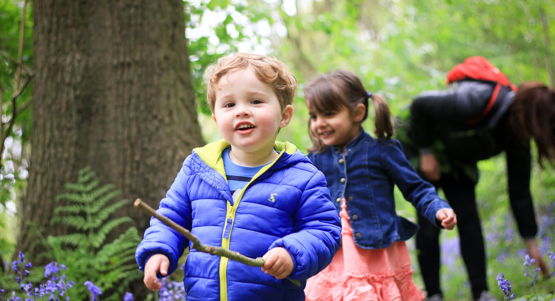 Friday Nature Tots - Woolley Firs