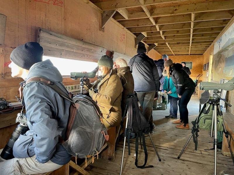 Guide in a Hide with the Friends of Rye Harbour Nature Reserve