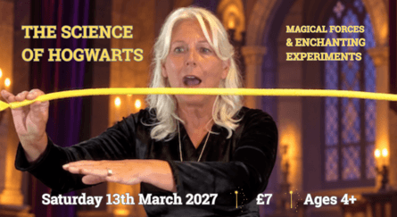 The Science of Hogwarts: Magical Forces & Enchanting Experiments
