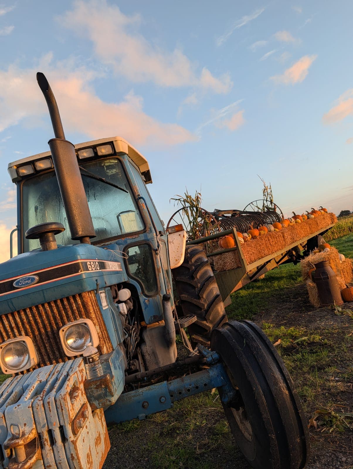 Farmer Ted's Pumpkin Festival