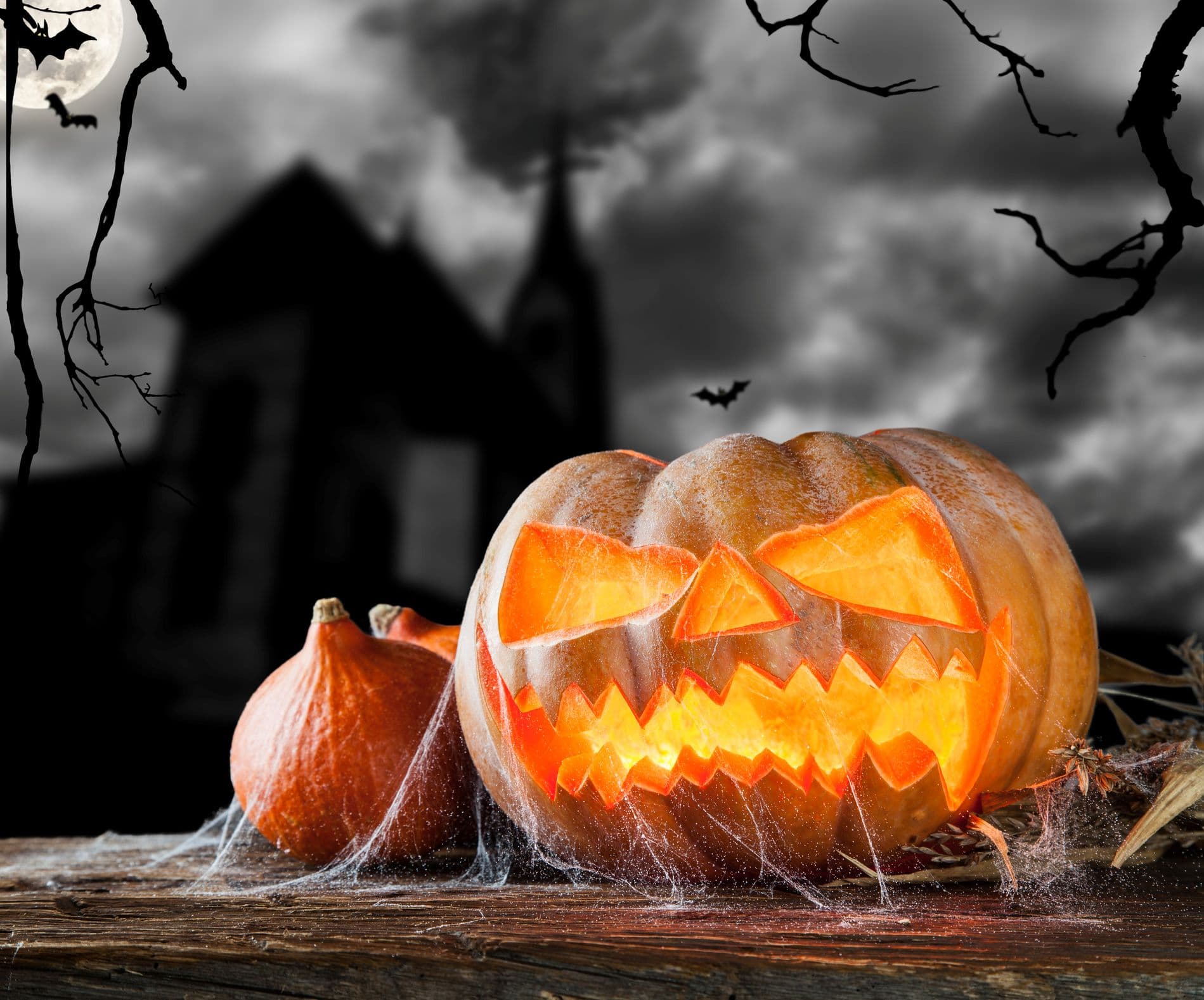 Trick or Treat Trail