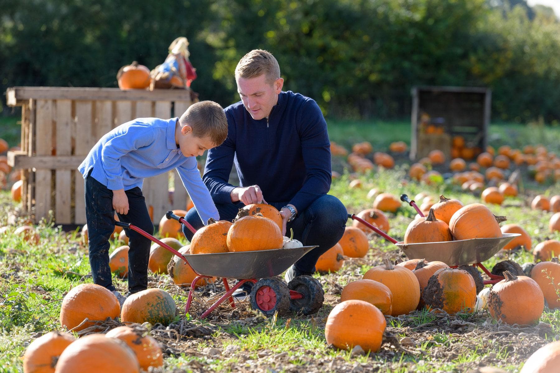 Pumpkin Festival Weekends at Odds Farm Park