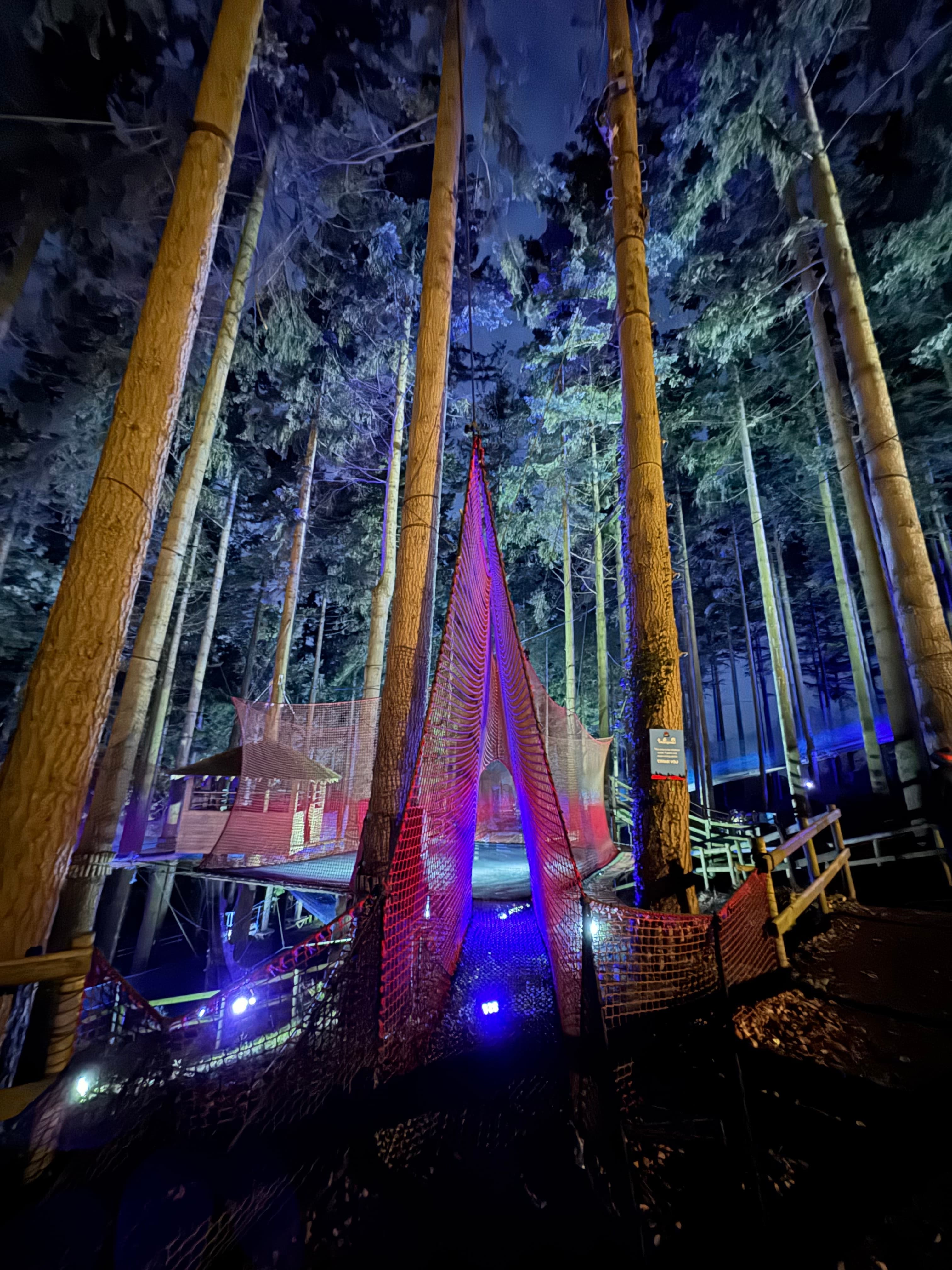 Festive Forest at Zip World Betws-y-Coed