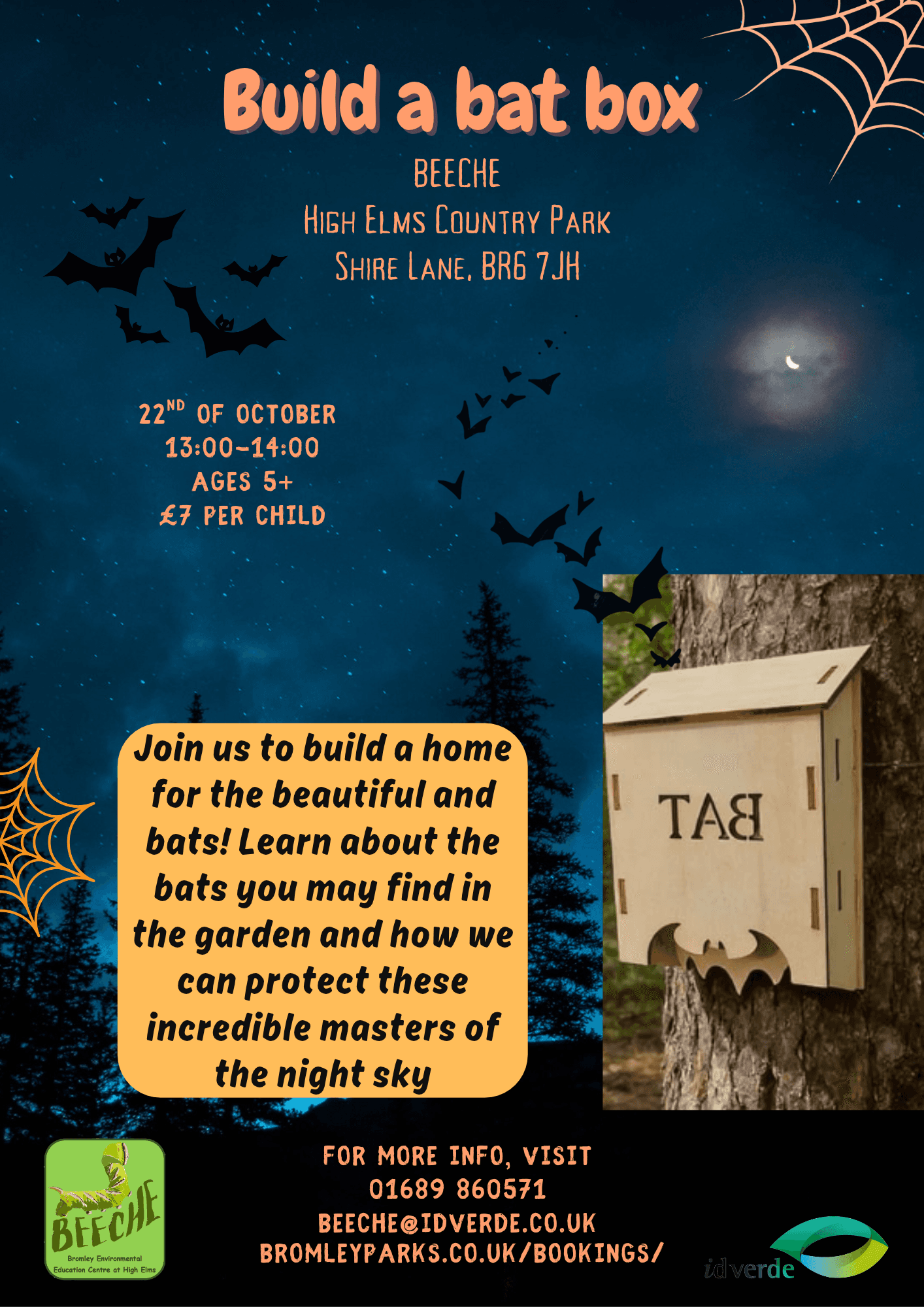 Build a Bat Box