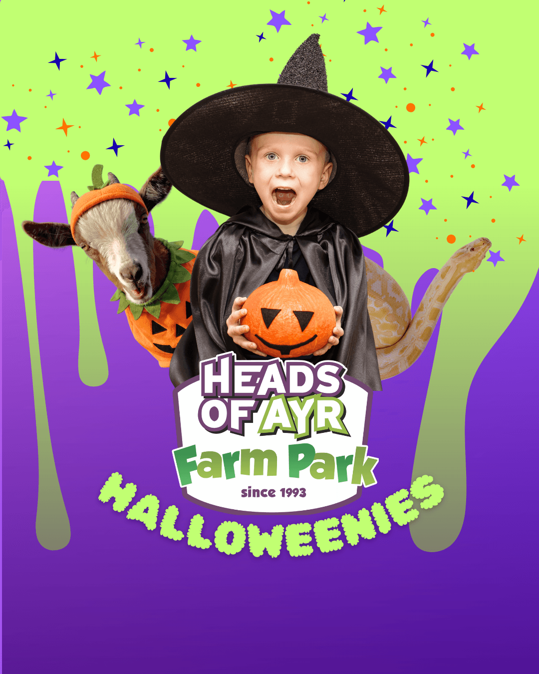 Halloweenies at Heads of Ayr Farm Park