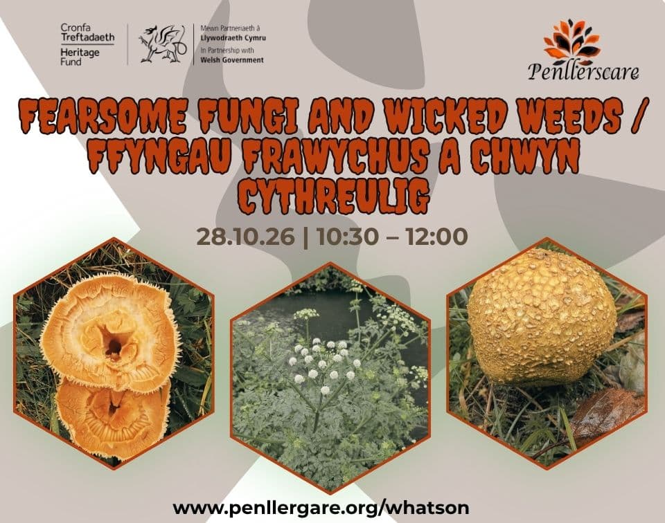 Fearsome Fungi and Wicked Weeds