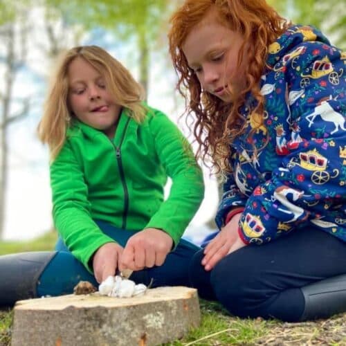 Margam Adventure Bushcraft & Survival Skills at Margam Country Park