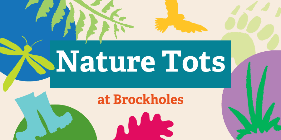 Nature Tots at Brockholes
