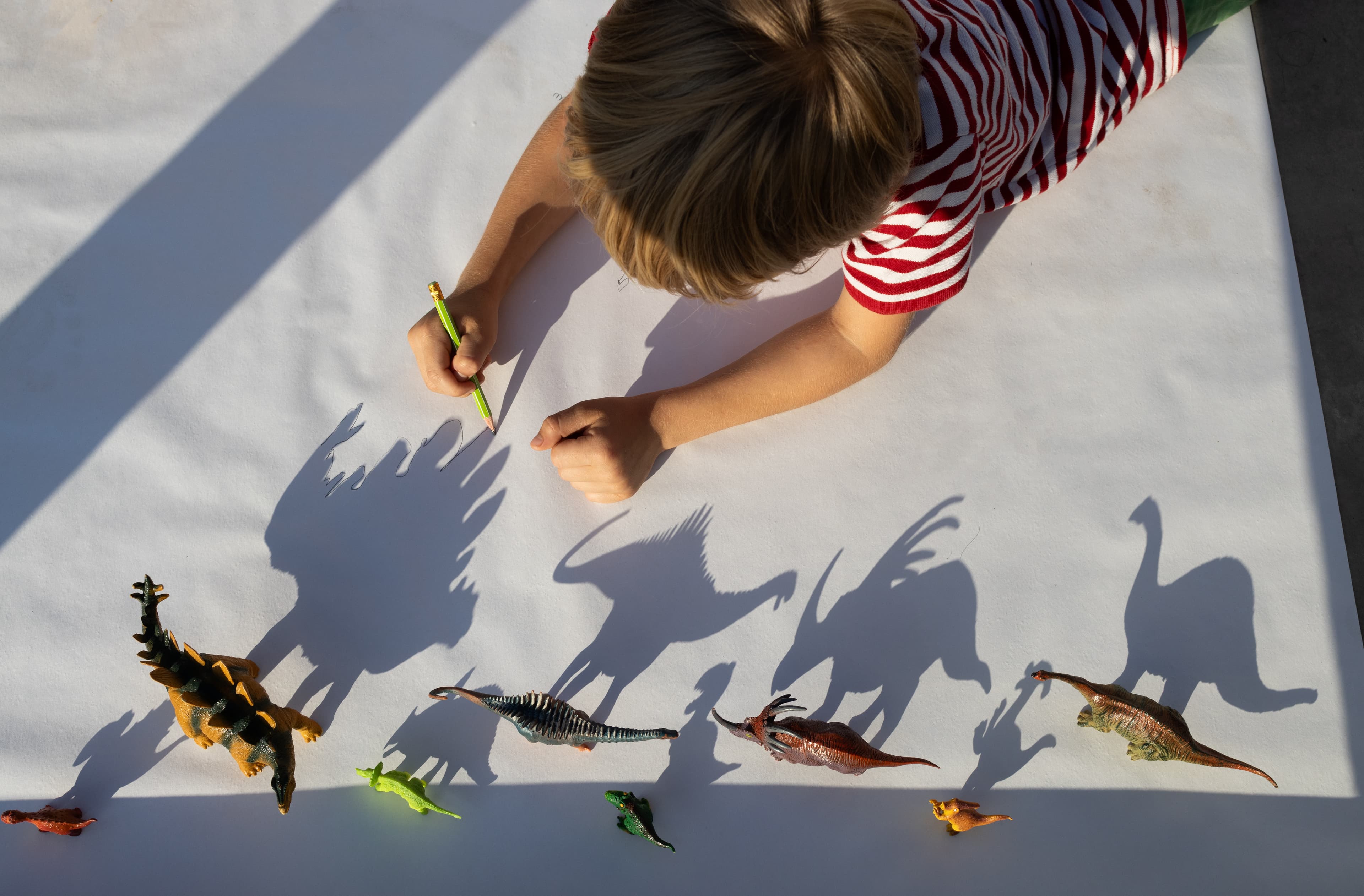 Shadow Art