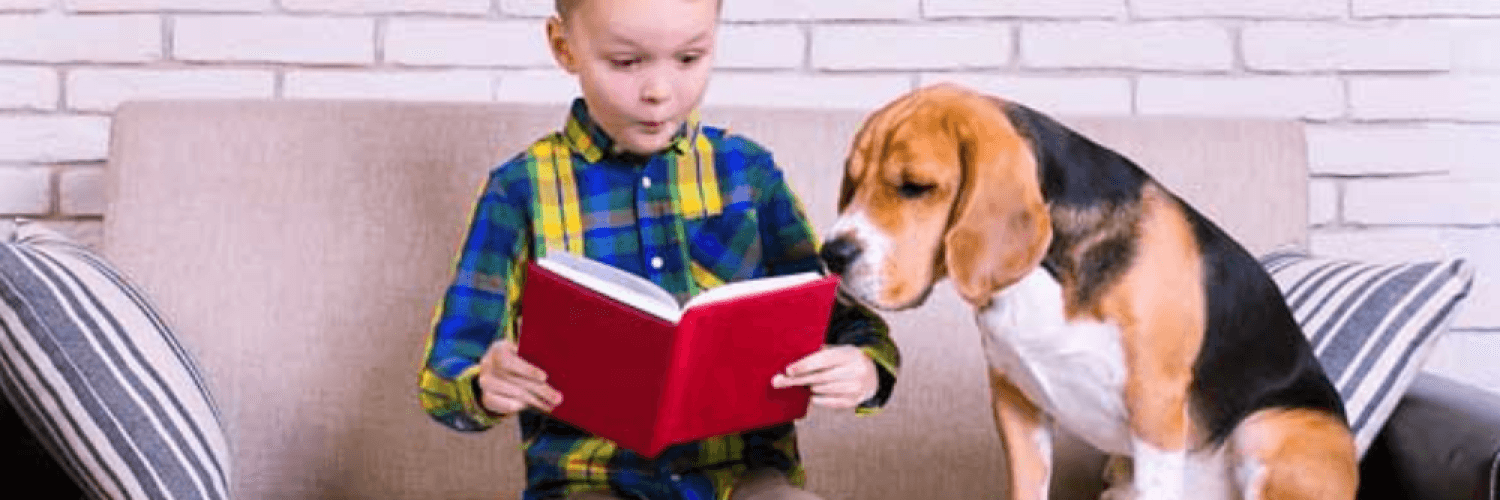 Come and Meet the Amazing Therapy Dog