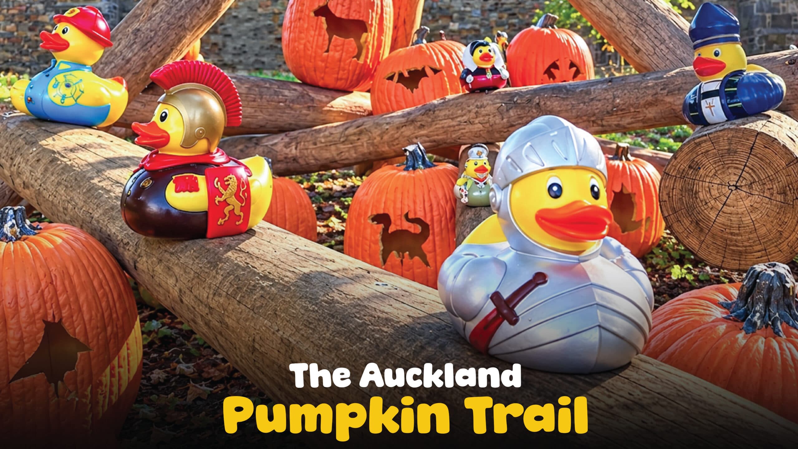 The Auckland Pumpkin Trail