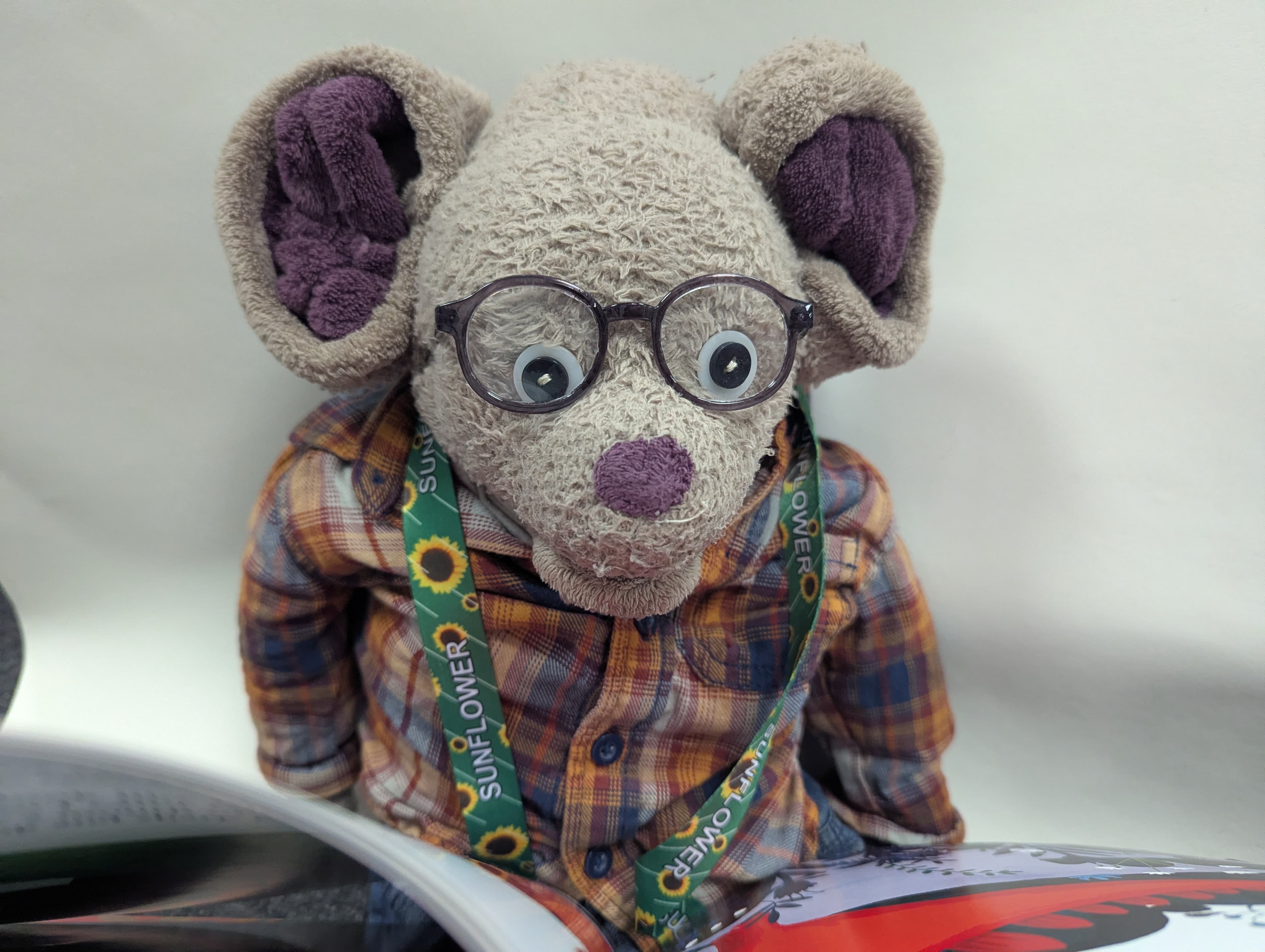 Relaxed Mouse Tales with early museum entry