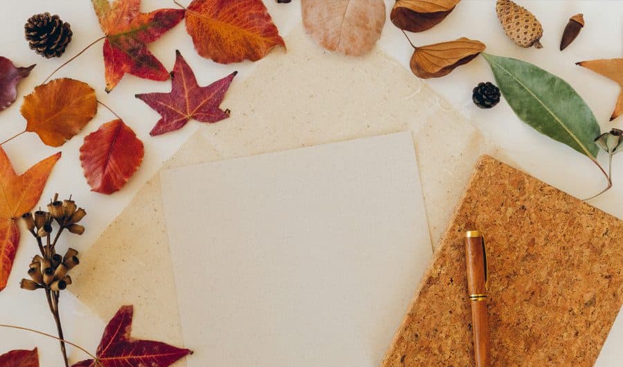 October Half Term: Wild Woodland Art