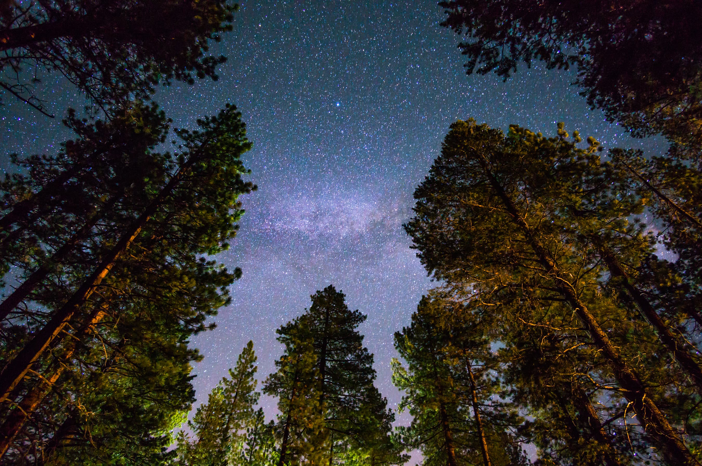 Dark skies walk