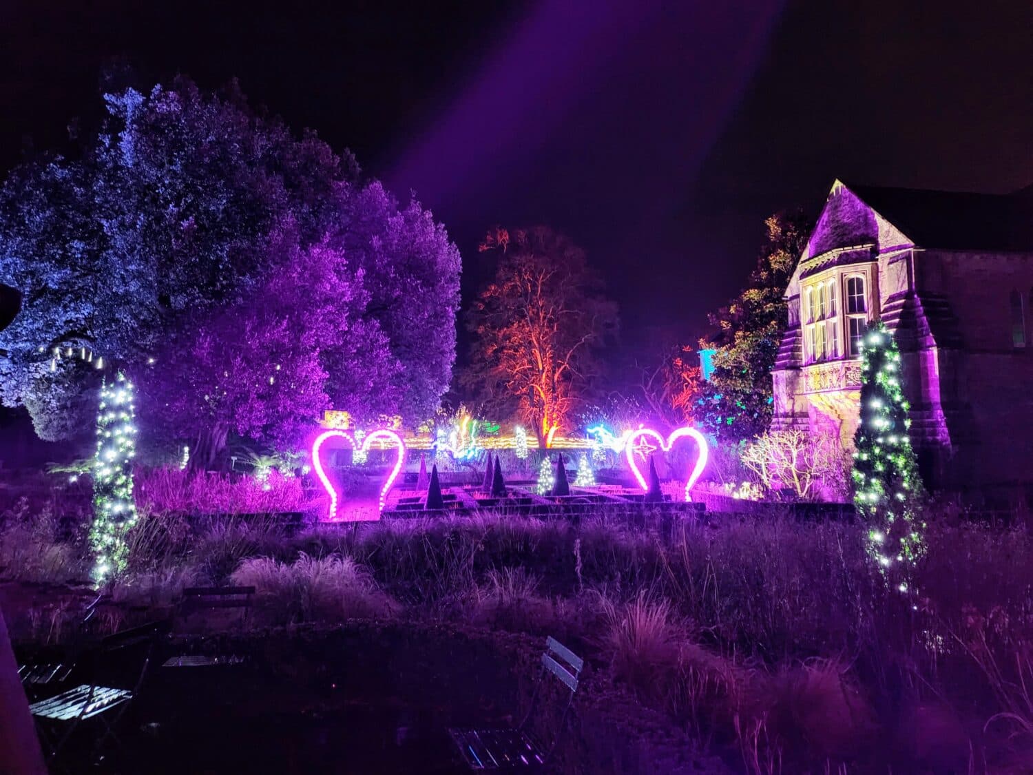 Christmas Illuminations: The 12 Days of Christmas