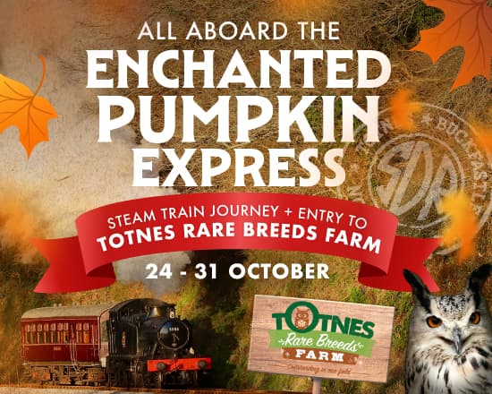 The Enchanted Pumpkin Express