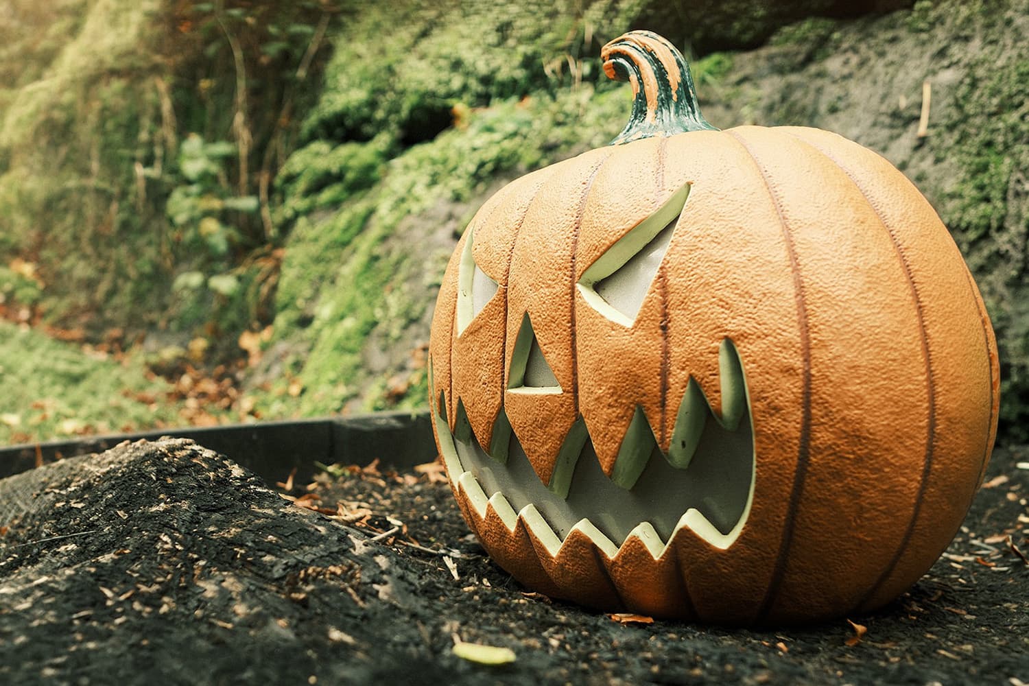 Halloween Spooktacular