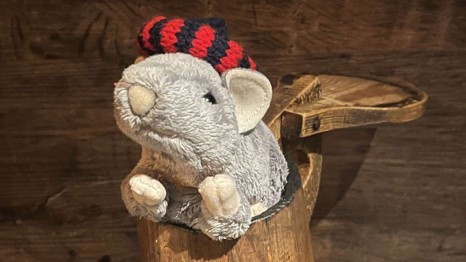 Rats in Hats