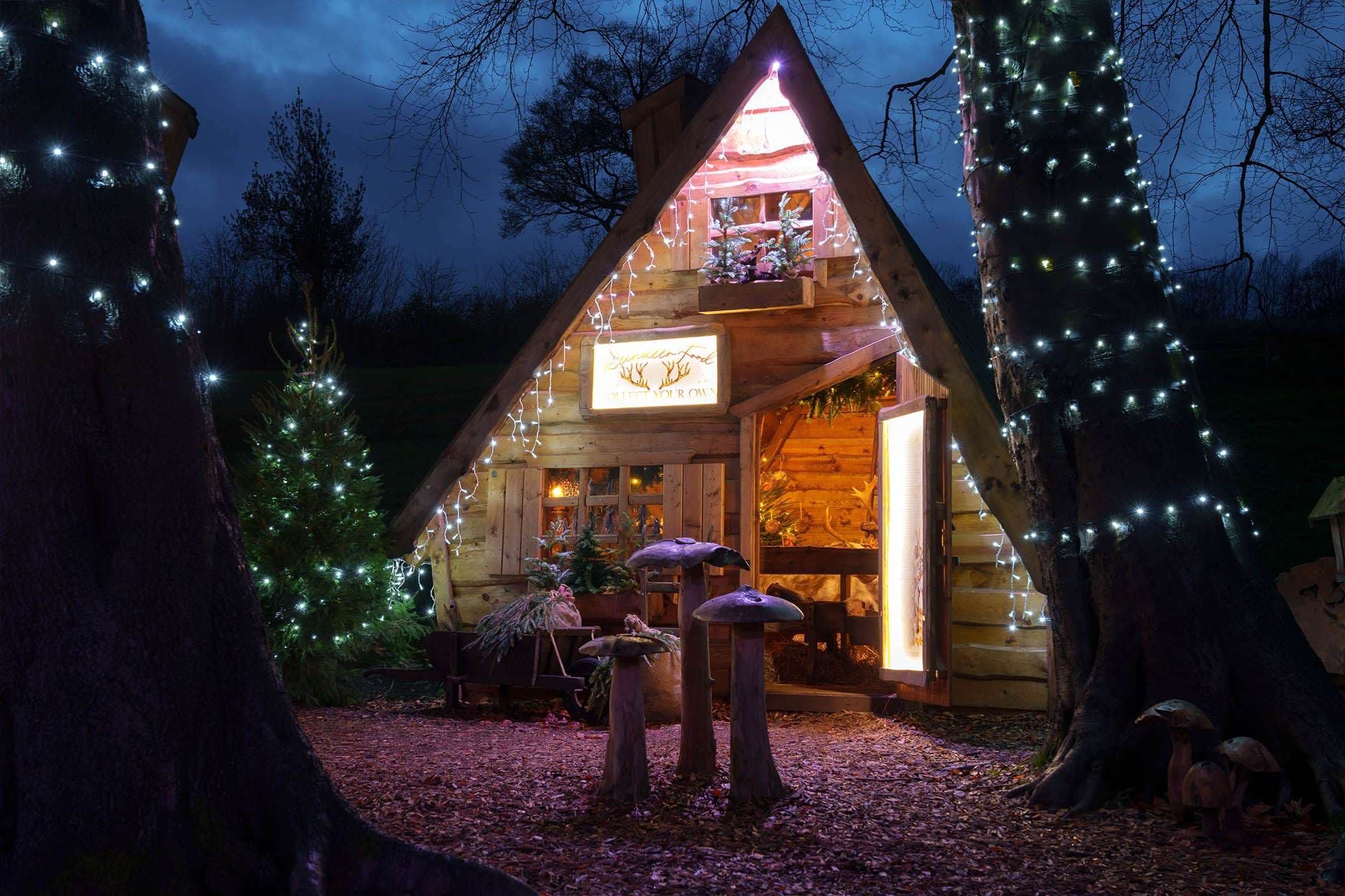 Winter Woodland Walks at Mother Shipton's