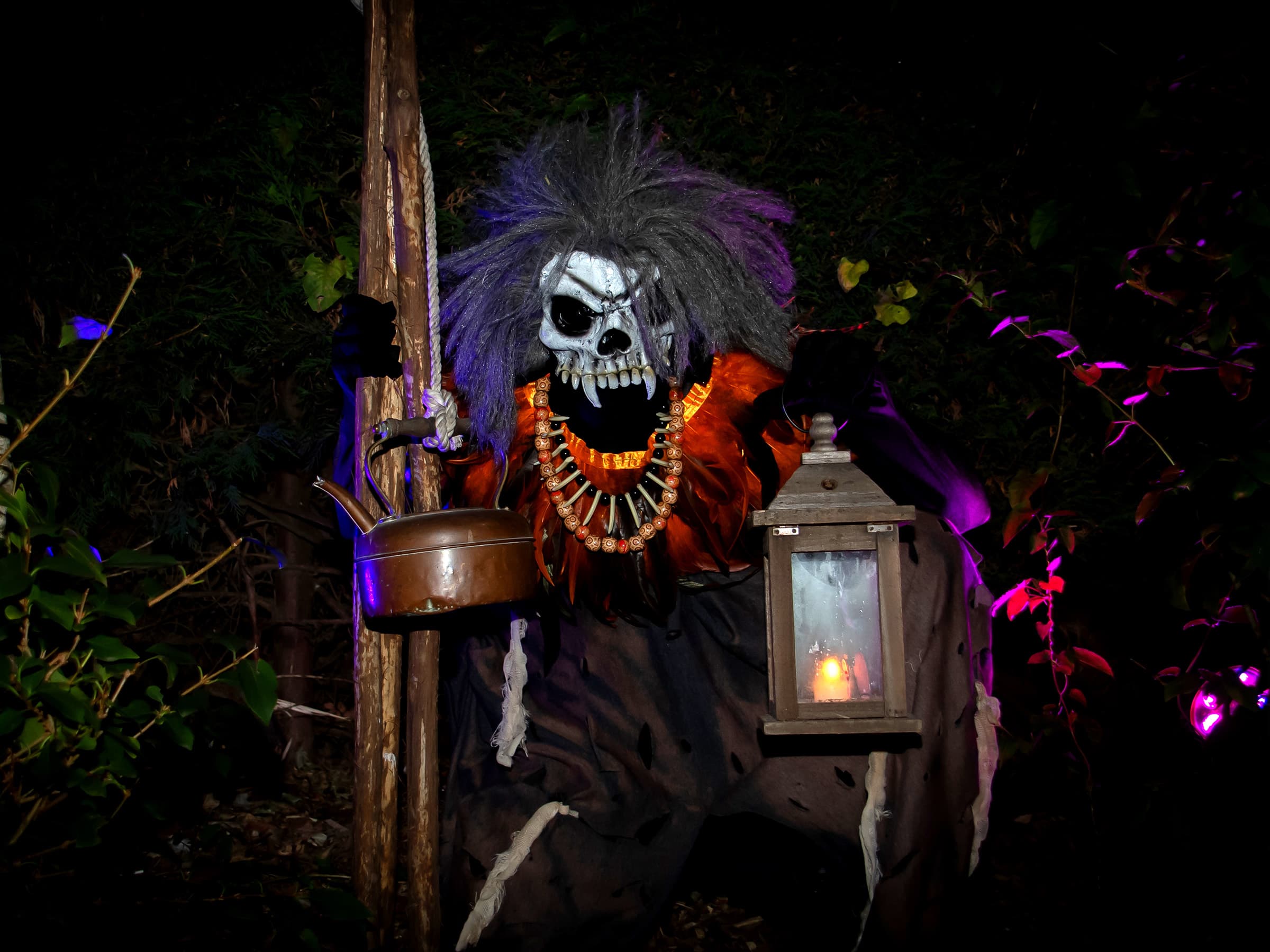 Trail of Terror
