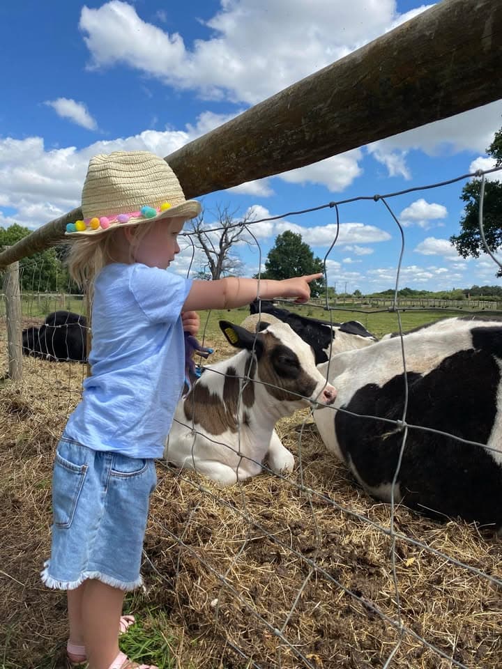 Open Farm Sunday 2027 at Home Farm Attingham