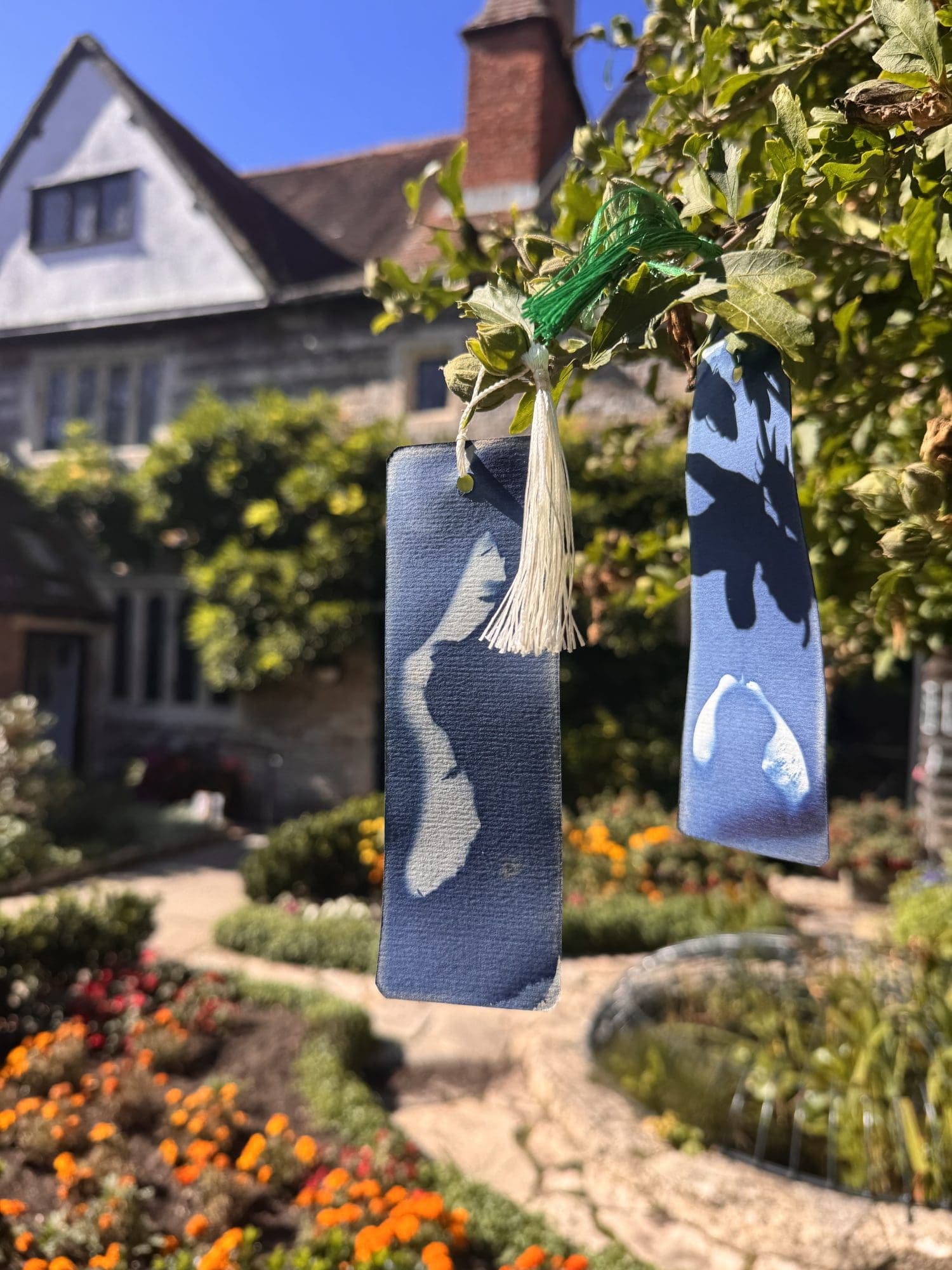 Nature Themed Cyanotype Printing Workshop (October Half Term)