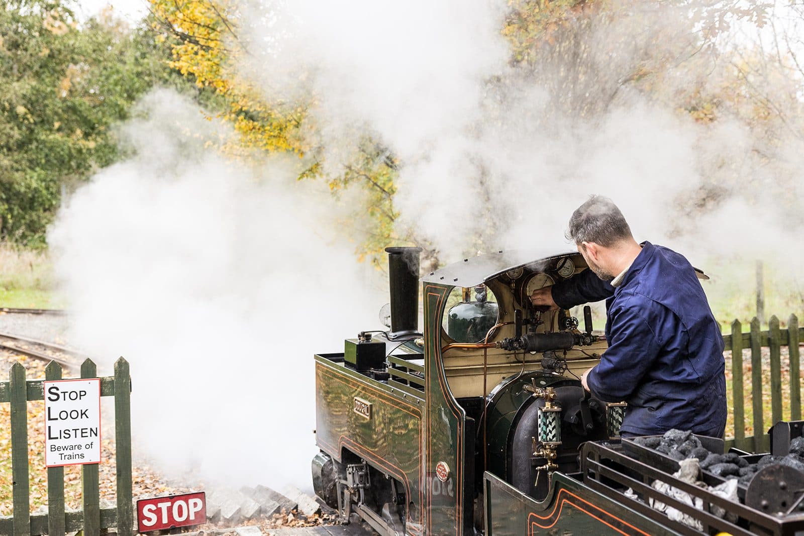 Autumn Trail by Train