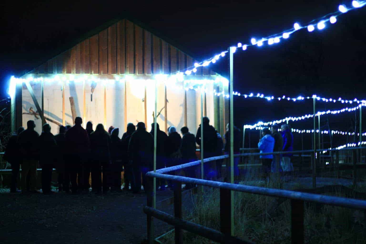 Winter Owl Evenings