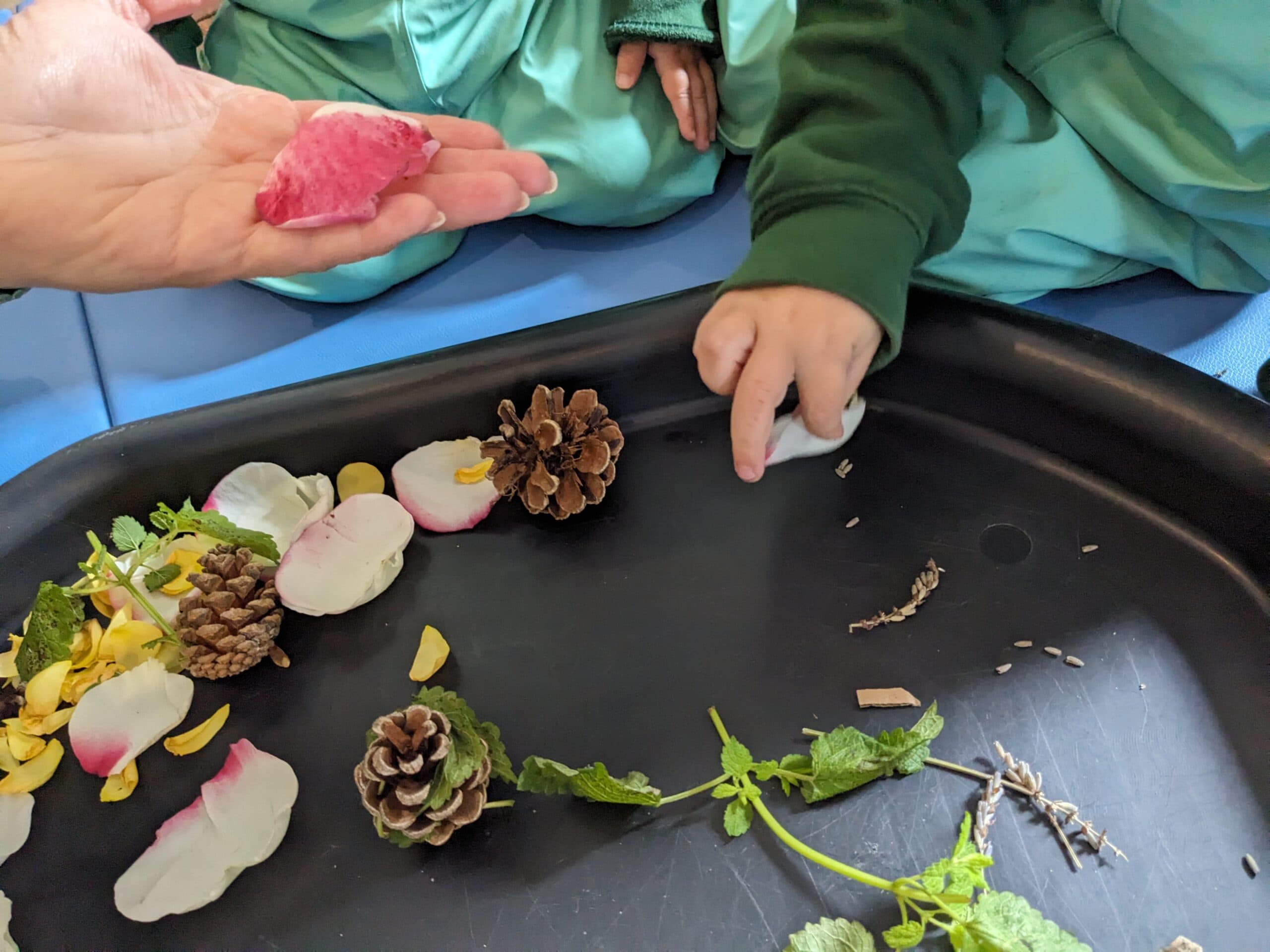 Mini-Museum Explorers: Falling Leaves & Forest Friends