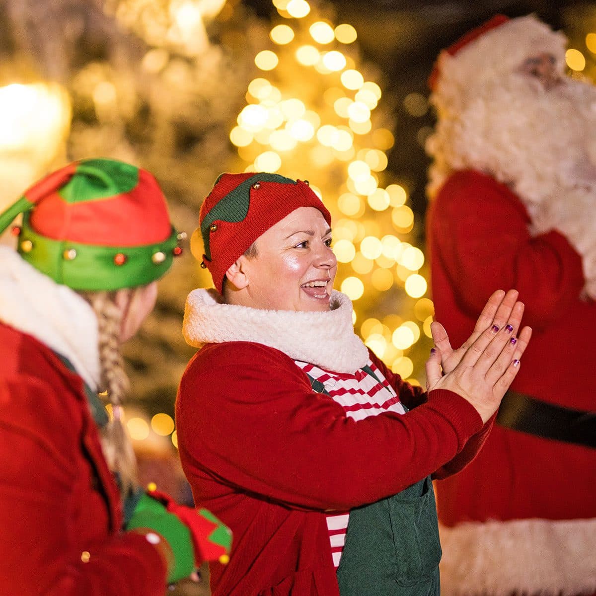 A Truly Magical Christmas at the Rare Breeds Centre