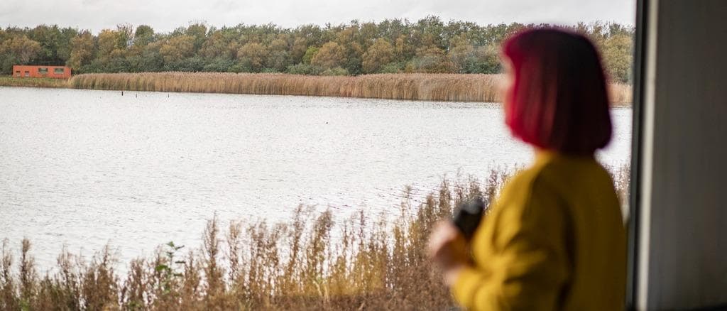 Birdwatching for Beginners