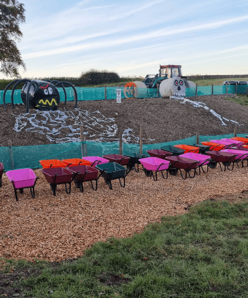 The Patch: Pick Your Own Pumpkins at Stouslie Farm