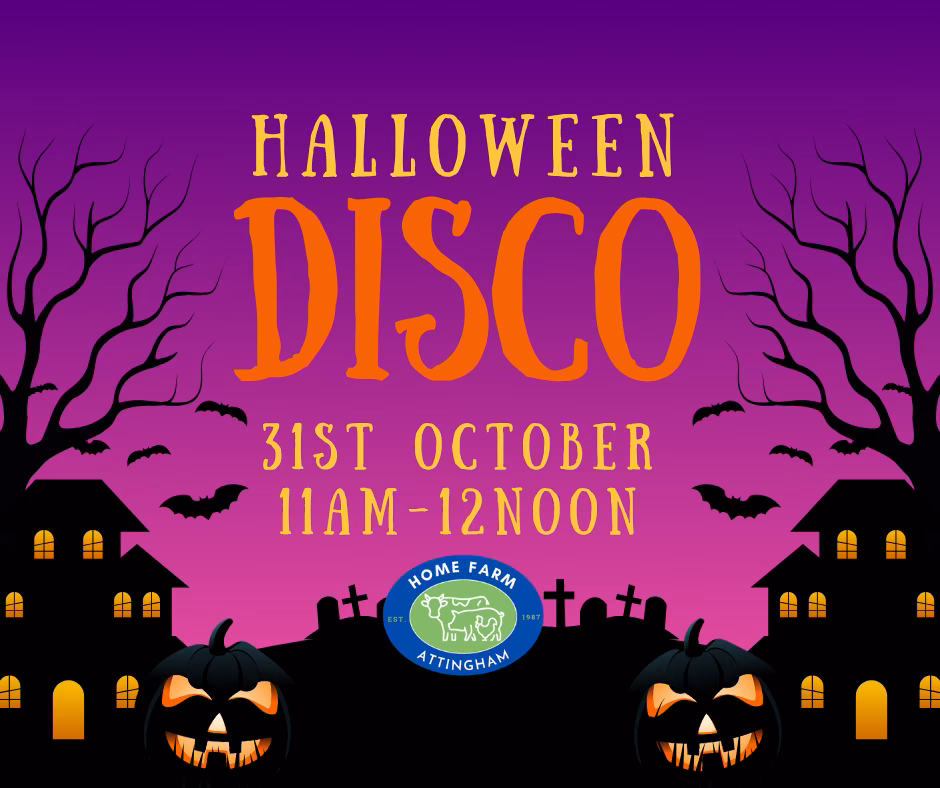 Halloween Disco with Charlotte from Diddi Dance (Saturday)