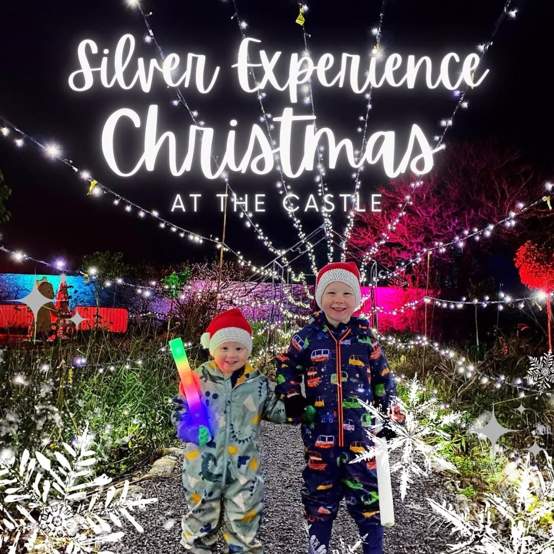 The Silver Christmas Experience 2026