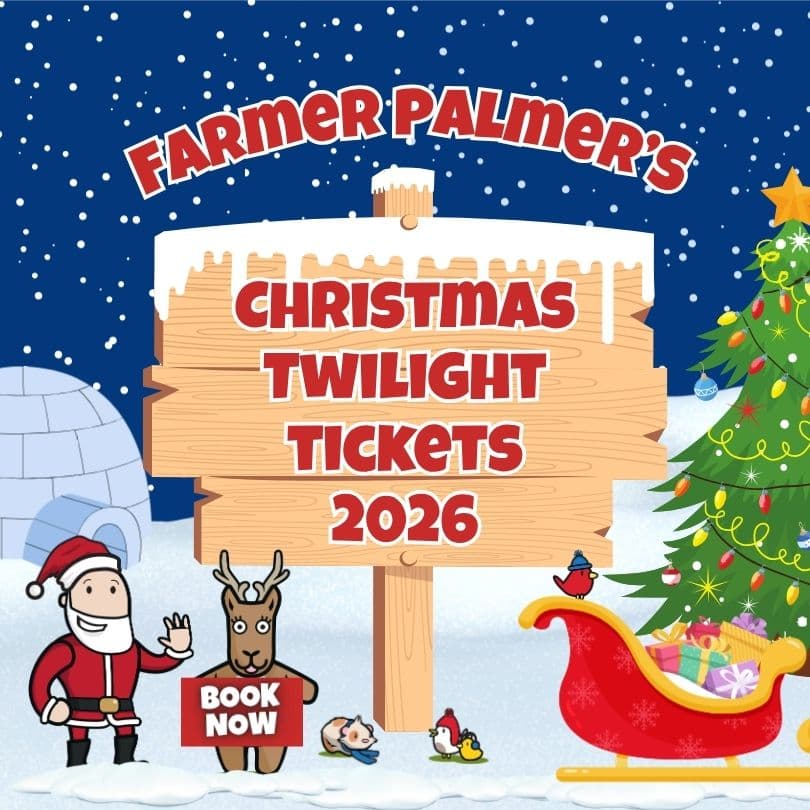 Twilight Farmer Christmas Experience