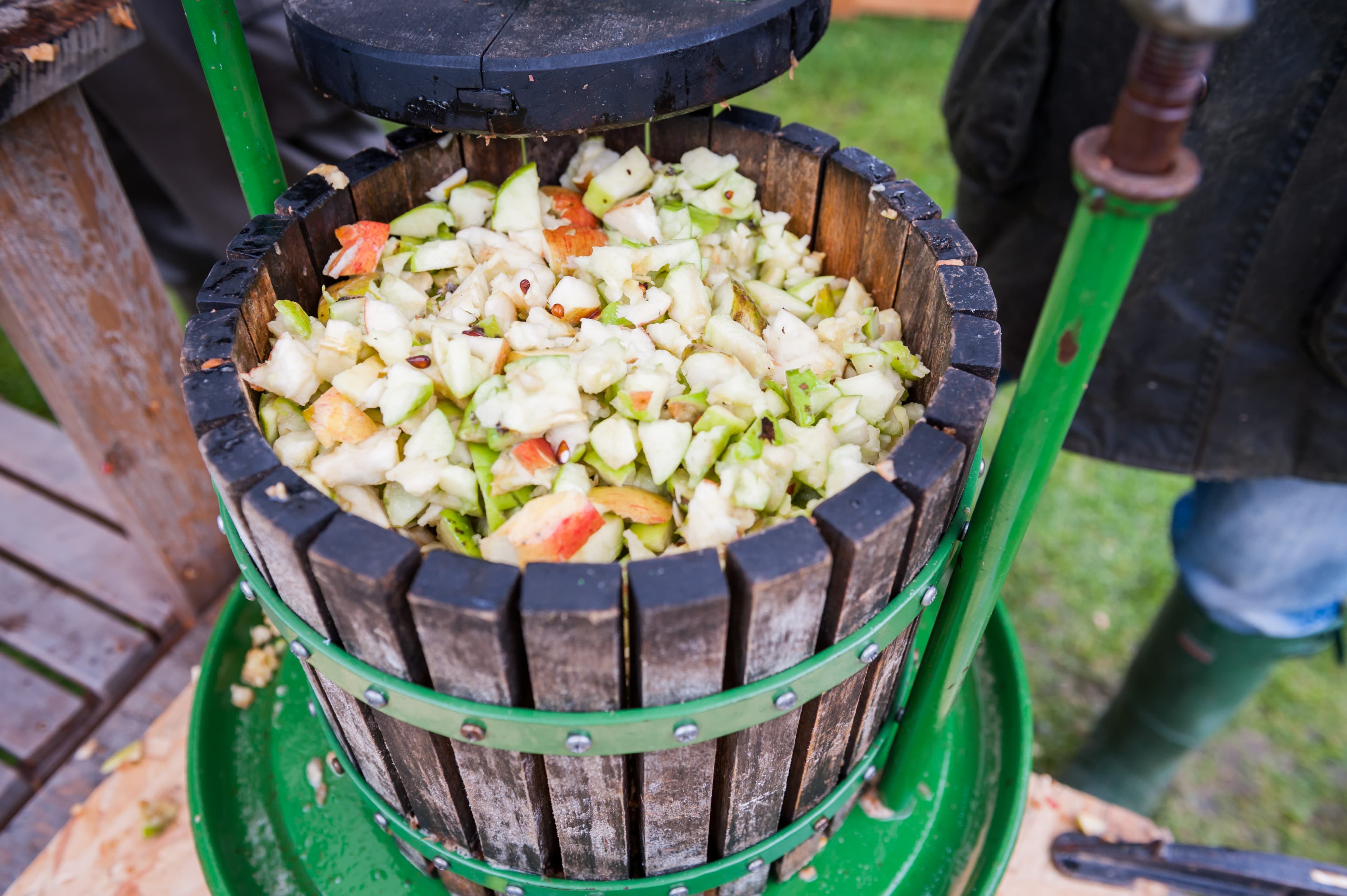 Apple Pressing at Castell Henllys