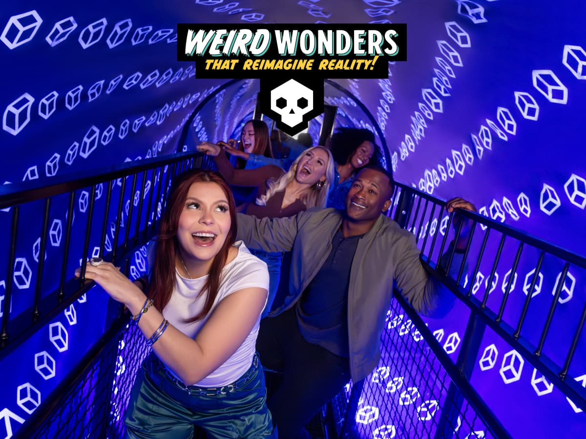 Weird Wonders That Reimagine Reality - Halloween at Museum of Illusions London