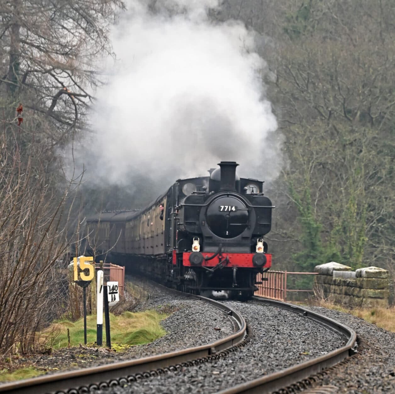 Winter Steam Gala