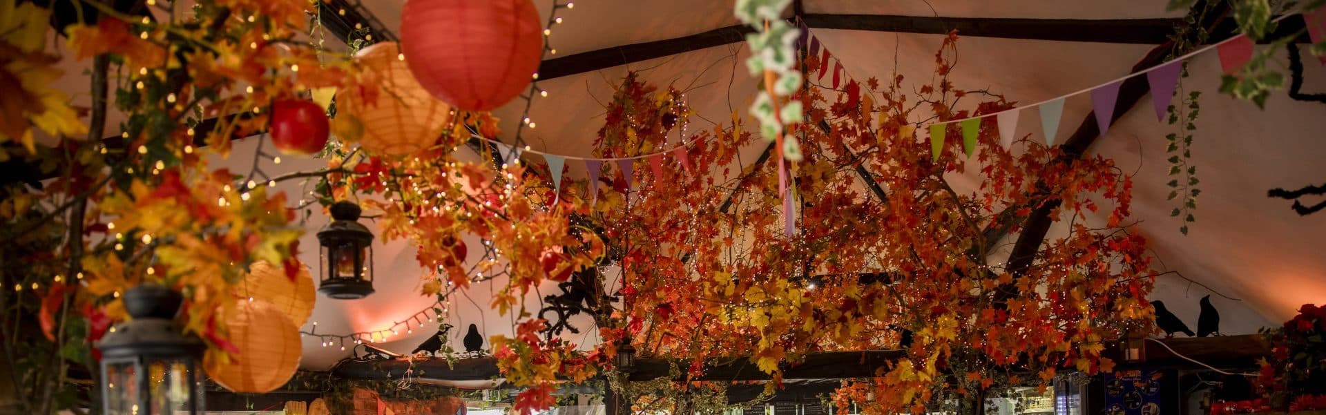 Halloween at Finkley