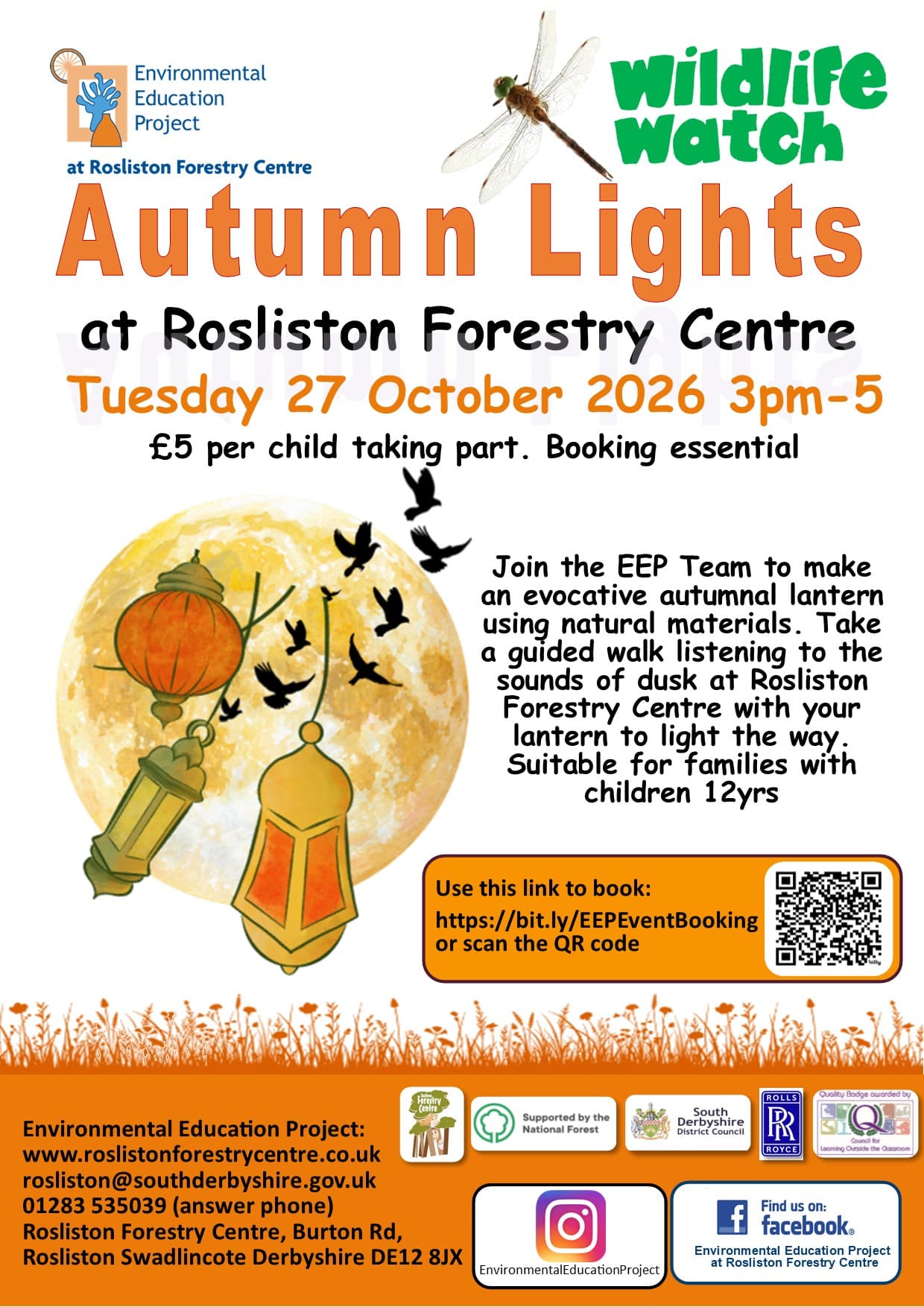 Wildlife Watch Autumn Lights
