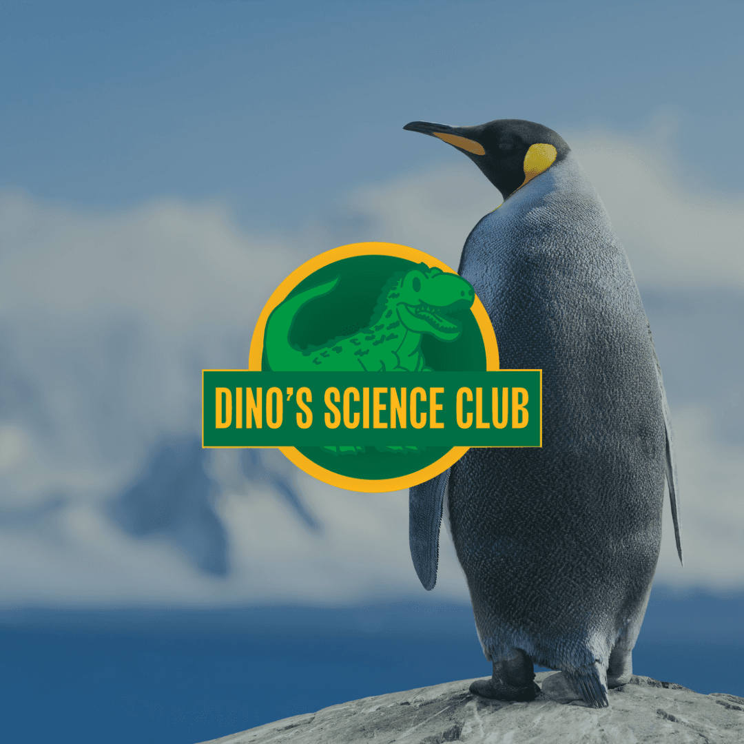Dino's: Polar Expedition
