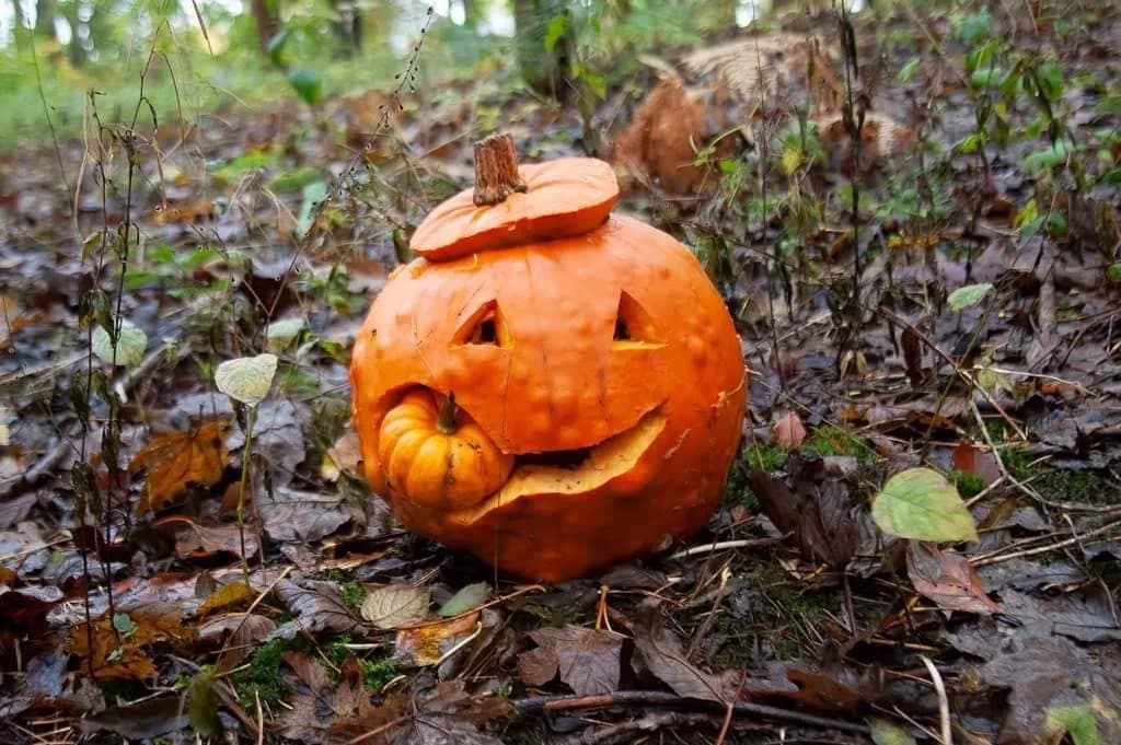 Leeds Scare Trails: The Pumpkin Trail at Golden Acre Park