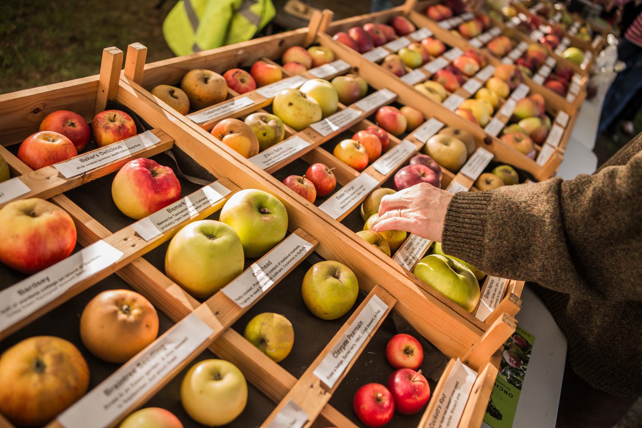 Apple Crafts