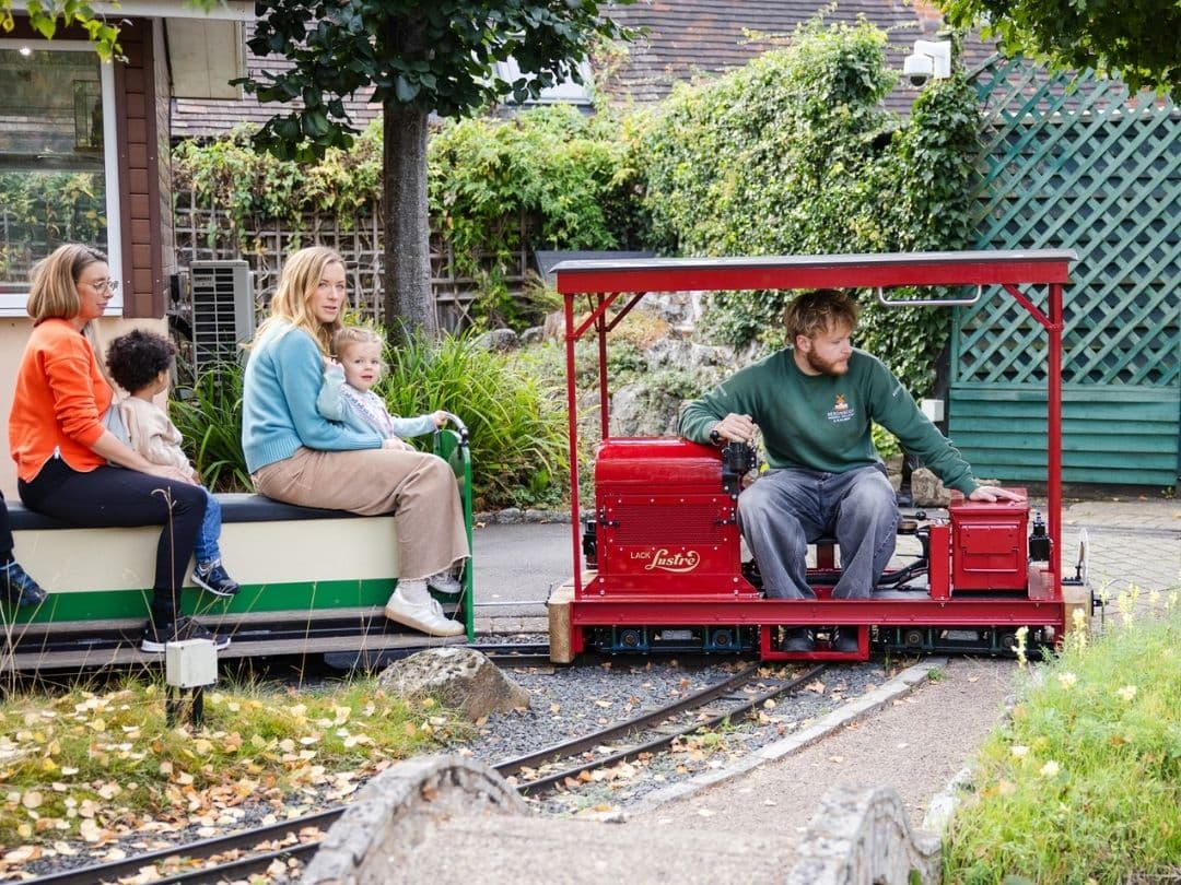Drive The Tram at Bekonscot
