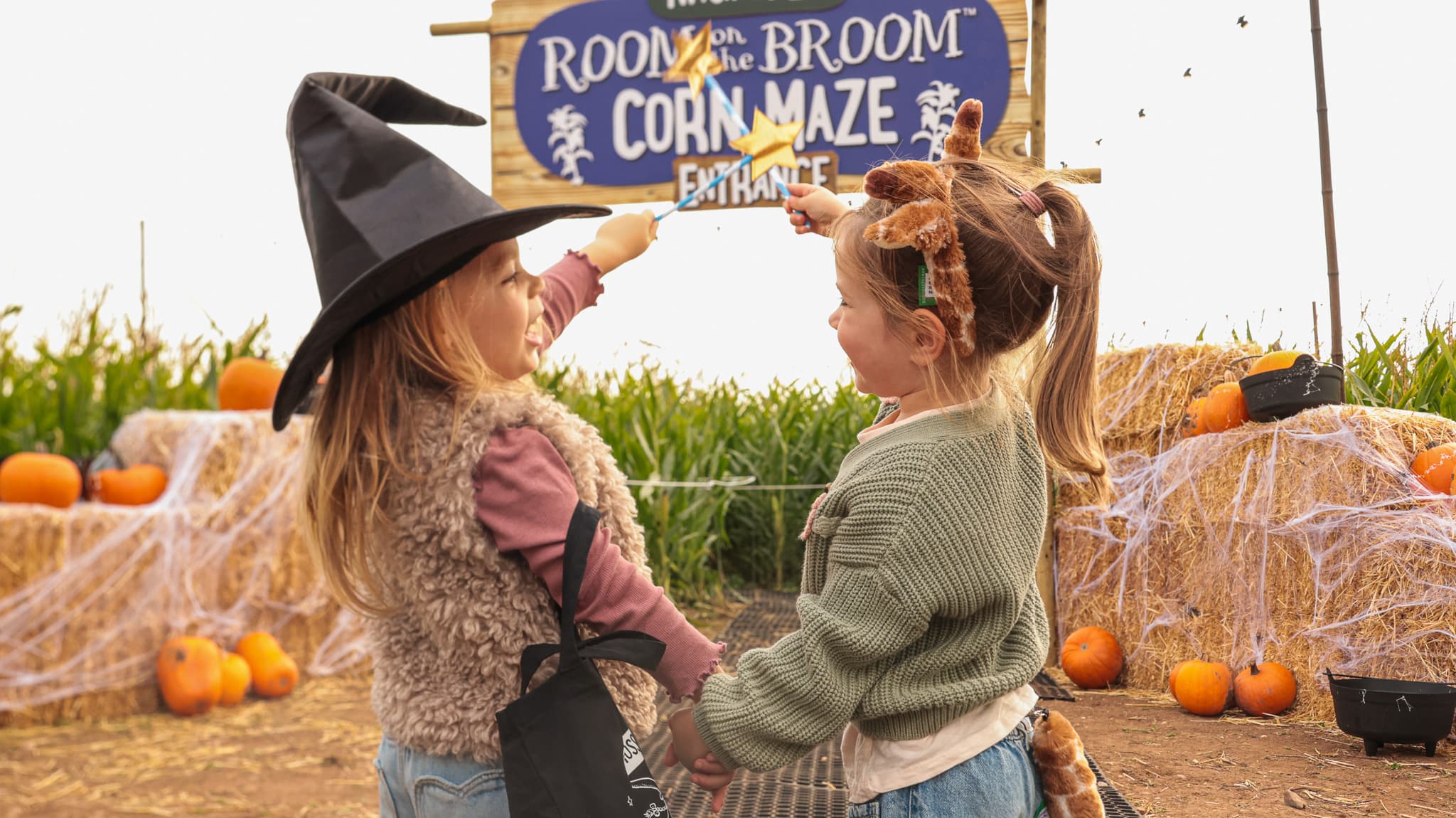 Room on the Broom Corn Maze