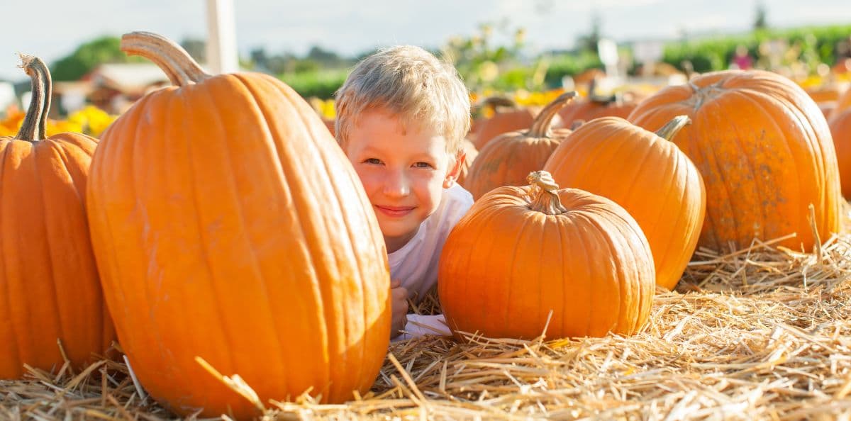 Pumpkins at the Park