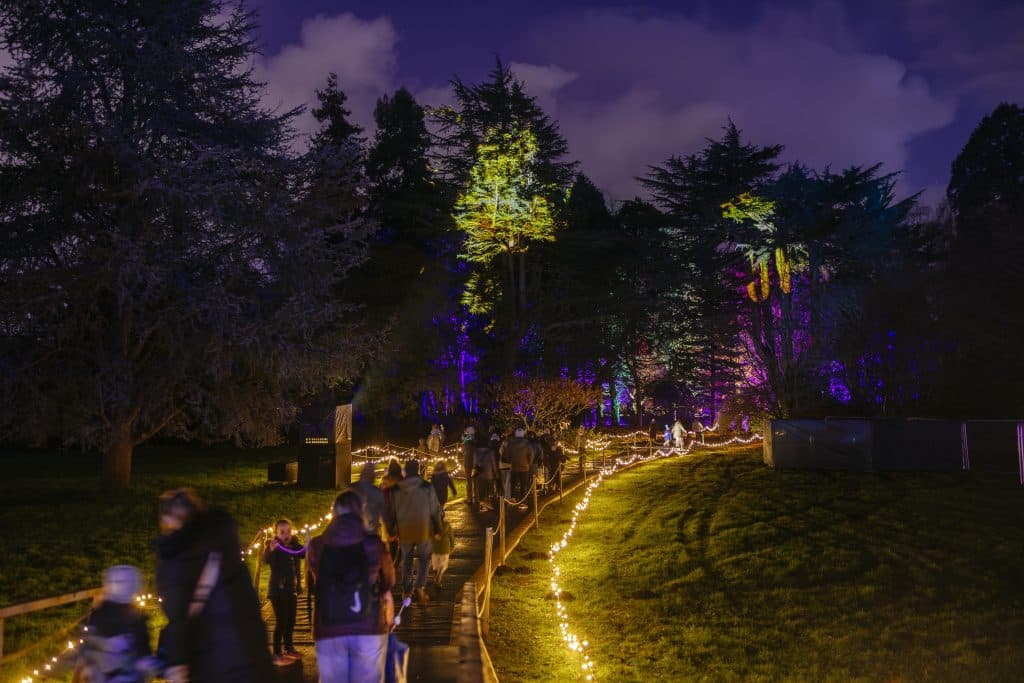 Christmas at Bute Park: Neurodivergent Evenings